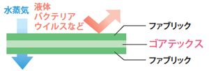 ゴアラミネート構造